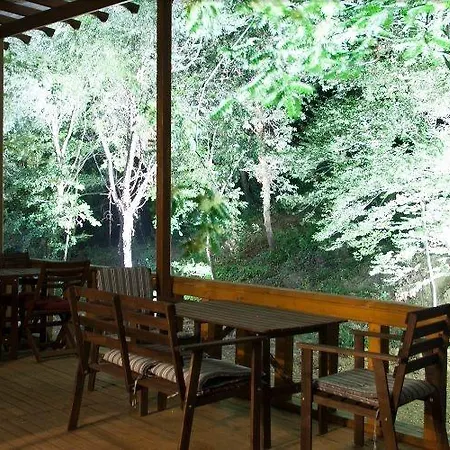 Szálloda Vital Thermal & Termal