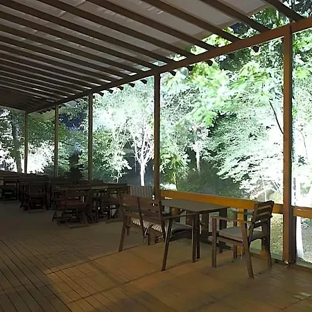 Hotel Vital Thermal & 3*
