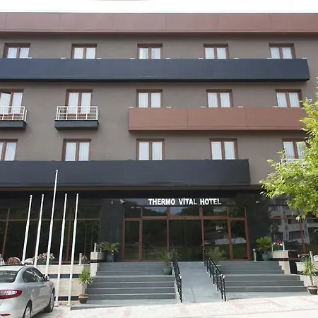 Vital Thermal &